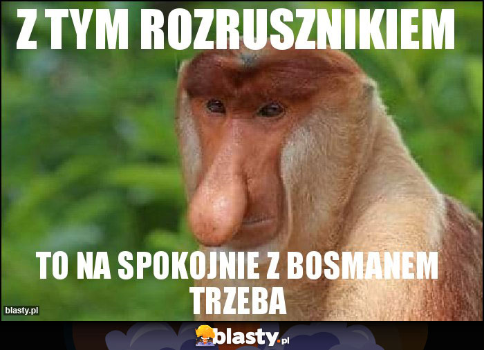 Z tym rozrusznikiem