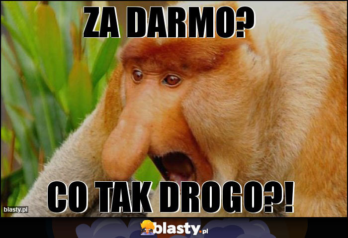 Za darmo?