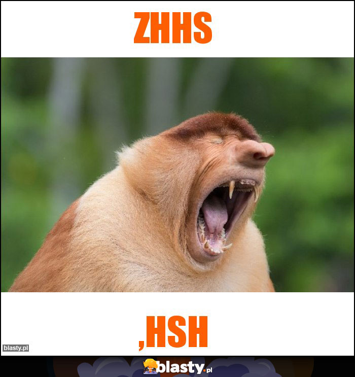 Zhhs