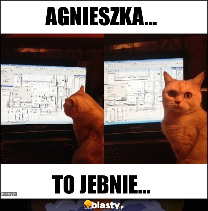 Agnieszka...