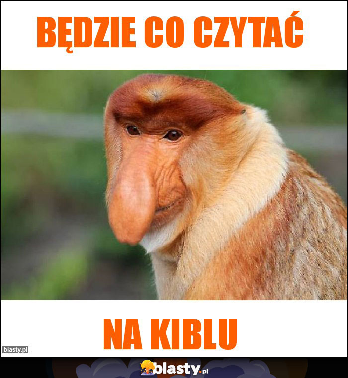 Będzie co czytać