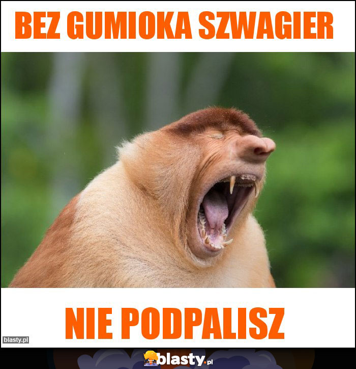 Bez gumioka szwagier