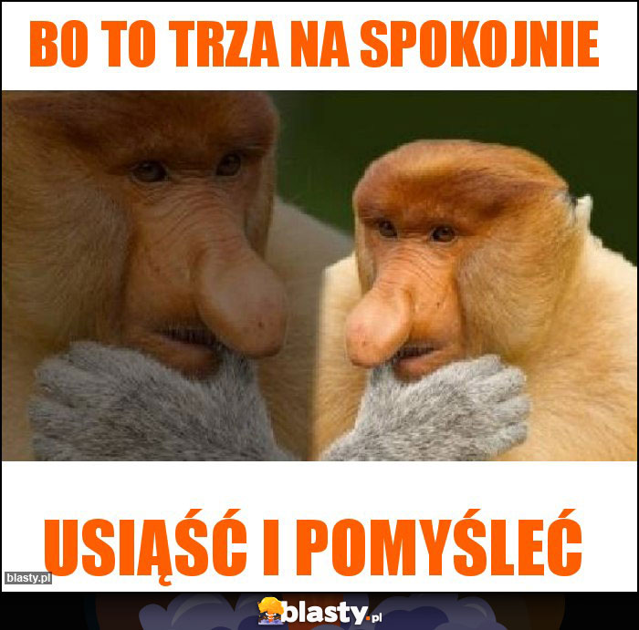 Bo to trza na spokojnie