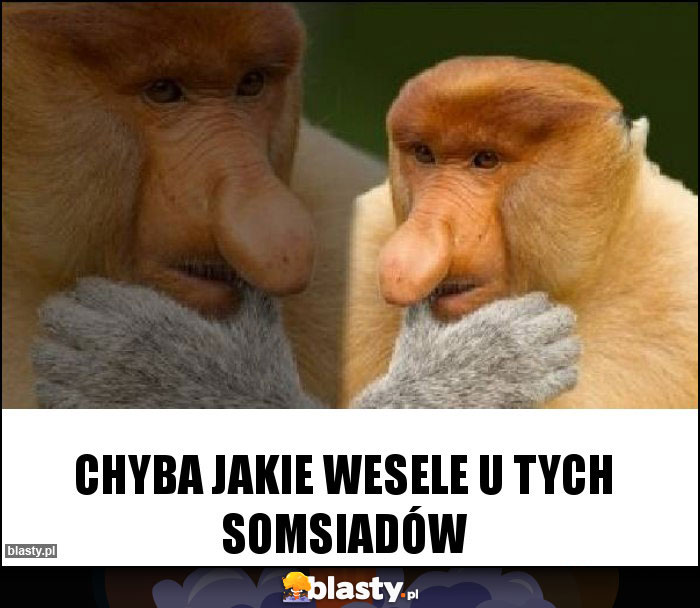 Chyba jakie wesele u tych somsiadów