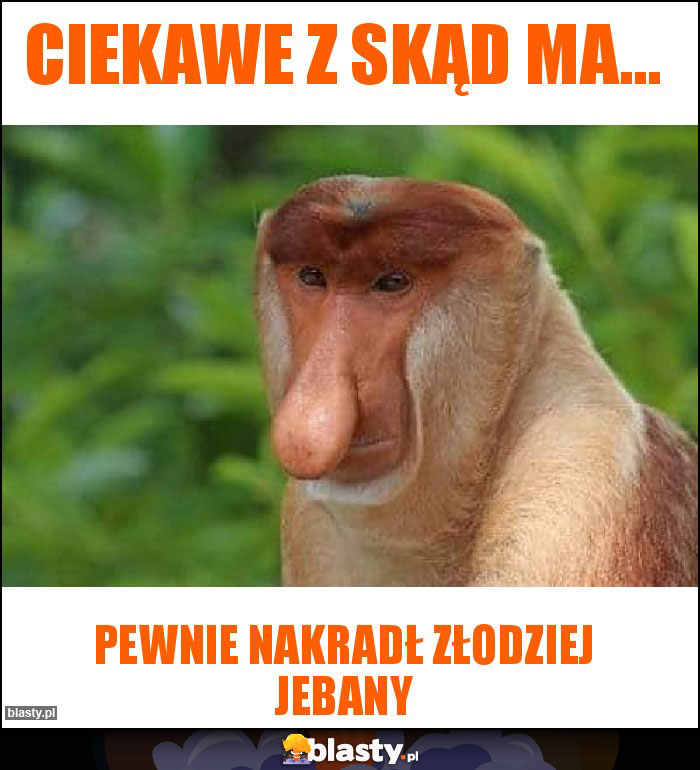 Ciekawe z skąd ma...