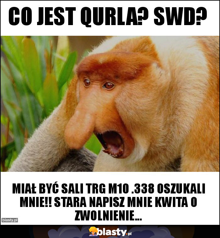 Co jest qurla? SWD?