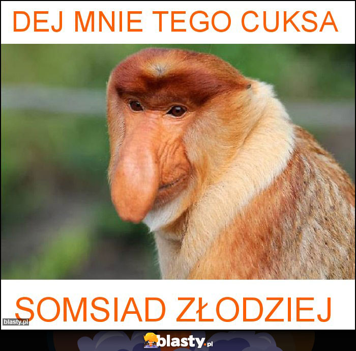 Dej mnie tego cuksa