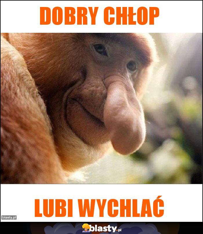 Dobry chłop