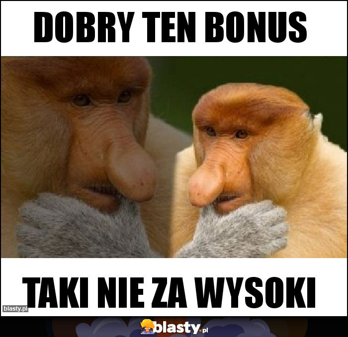 Dobry ten bonus