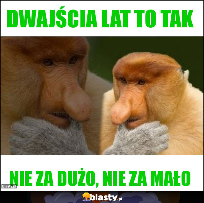 Dwajścia lat to tak