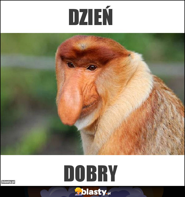 Dzień