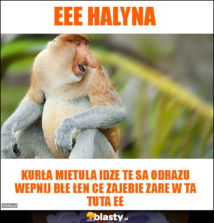 Eee Halyna