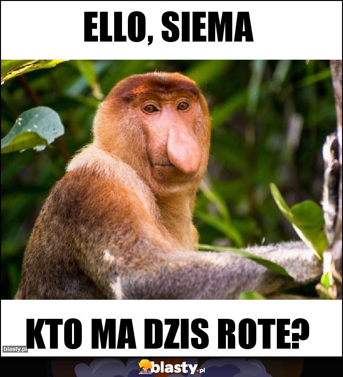 Ello, siema