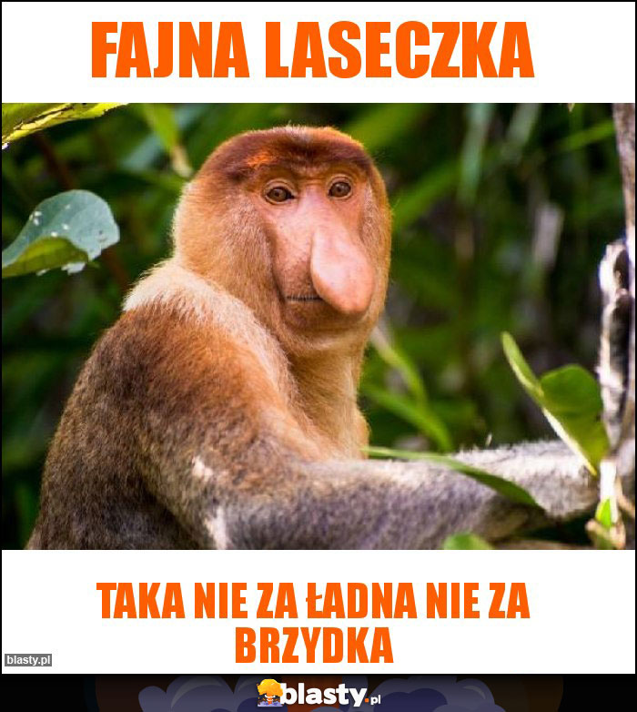 Fajna laseczka