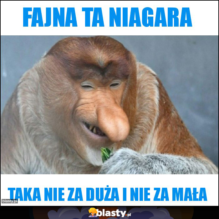 Fajna ta Niagara