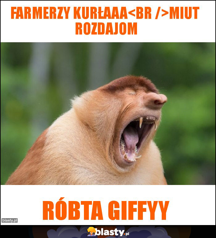 Farmerzy kurłaaa
Miut  rozdajom