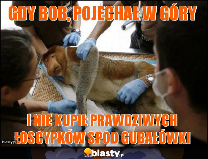 Gdy Bob, pojechał w góry