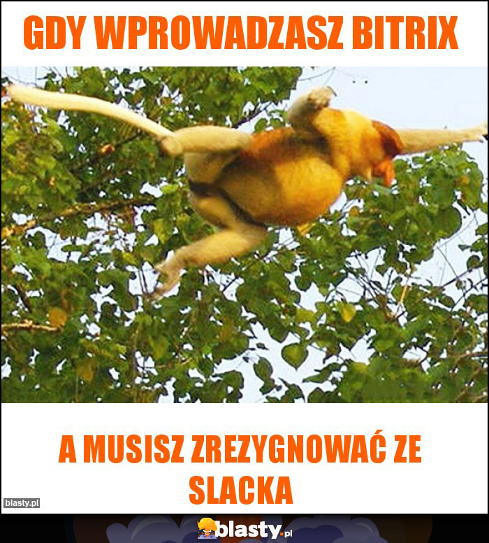 Gdy wprowadzasz bitrix