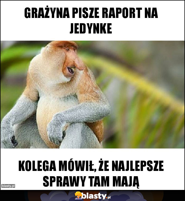 Grażyna pisze raport na jedynke