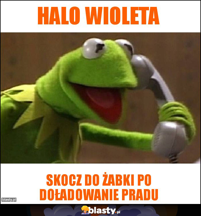 Halo Wioleta