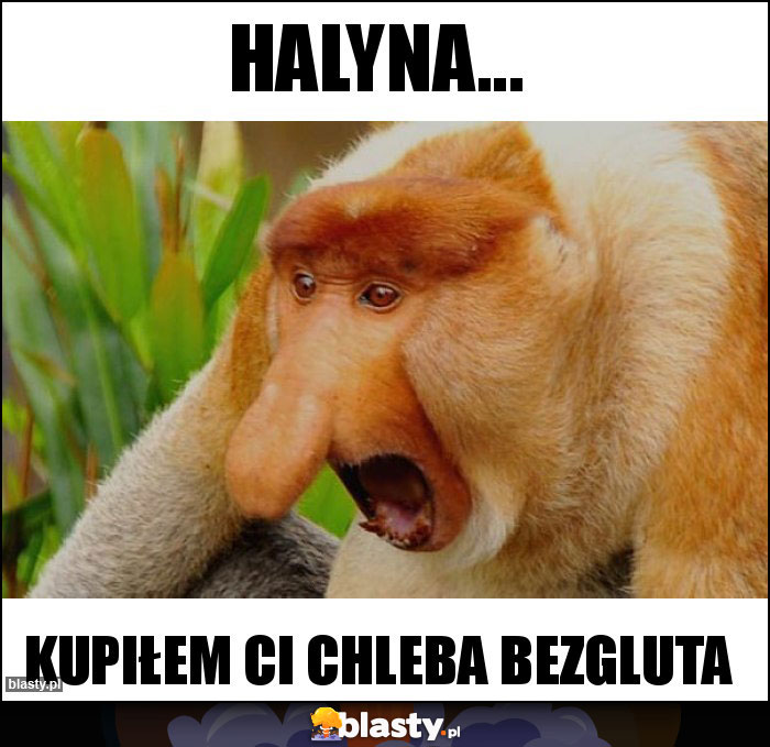 Halyna...