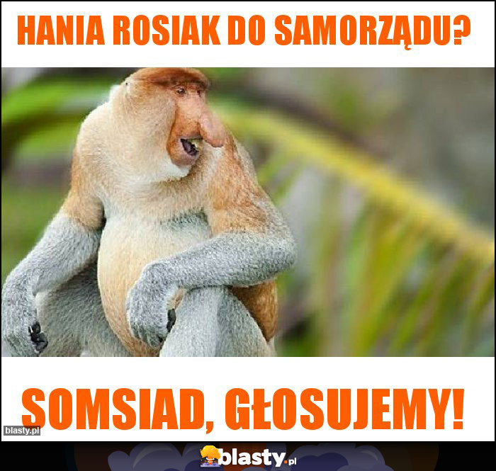 HANIA ROSIAK DO SAMORZĄDU?