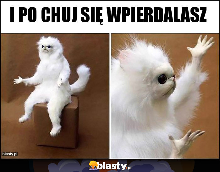 I po chuj się wpierdalasz