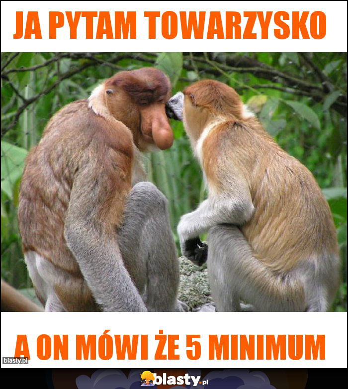 Ja pytam towarzysko
