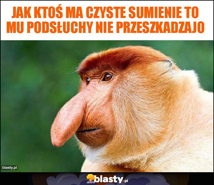 Jak ktoś ma czyste sumienie to mu podsłuchy nie przeszkadzajo