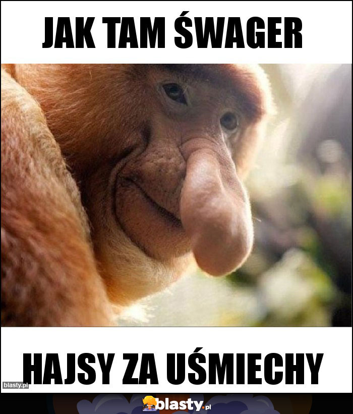 Jak tam śwager