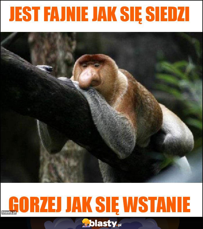 Jest fajnie jak się siedzi