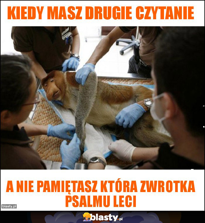 Kiedy masz drugie czytanie