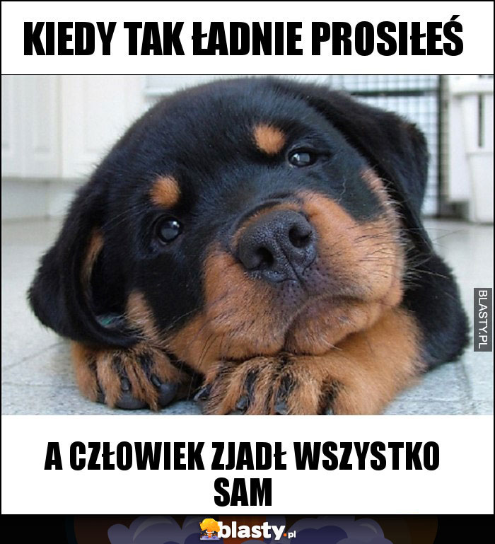 Kiedy tak ładnie prosiłeś