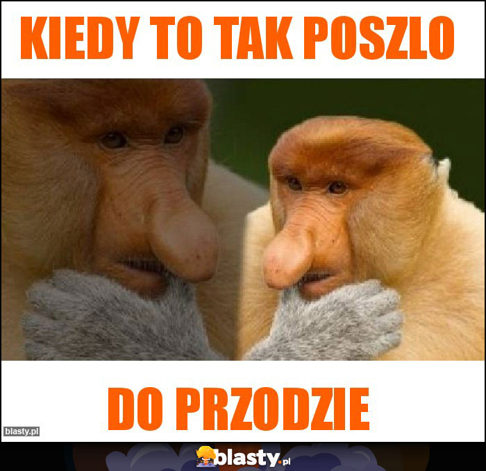 Kiedy to tak poszlo