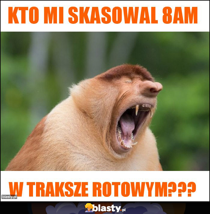 KTO MI SKASOWAL 8AM