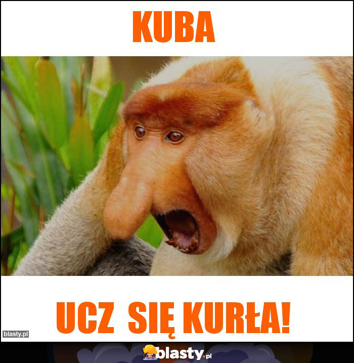 KUbA