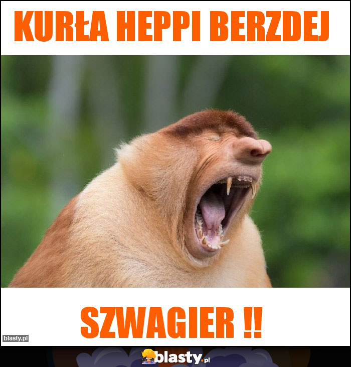 Kurła heppi berzdej