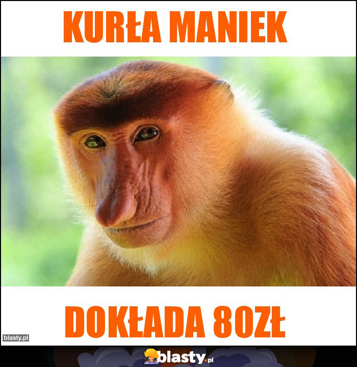 Kurła maniek