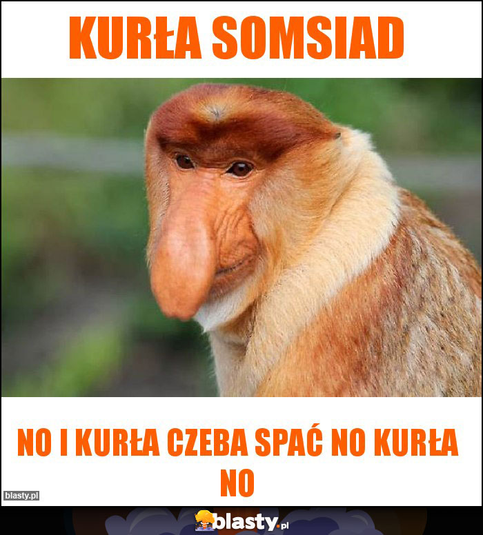 Kurła somsiad