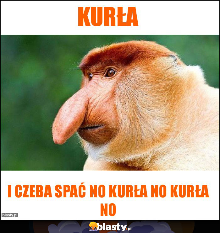 Kurła