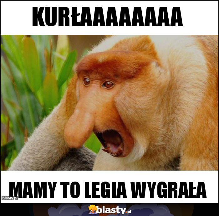 Kurłaaaaaaaa