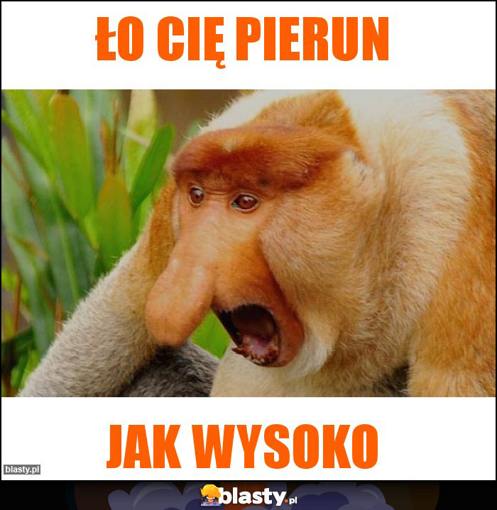 Ło cię pierun