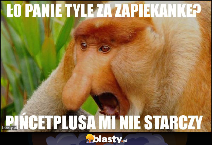 Ło Panie tyle za zapiekanke?