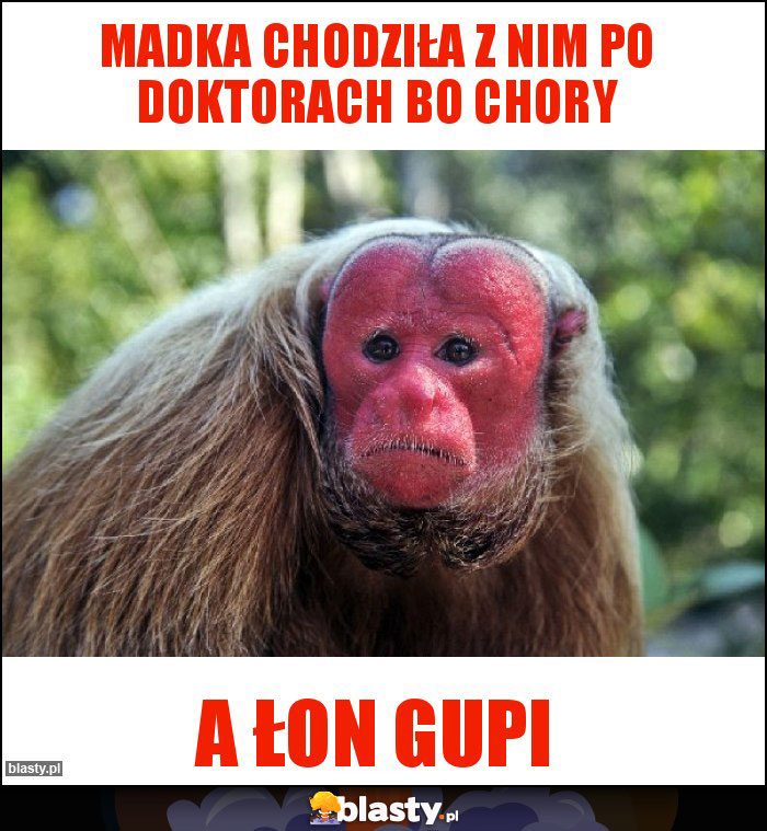 Madka chodziła z nim po doktorach bo chory