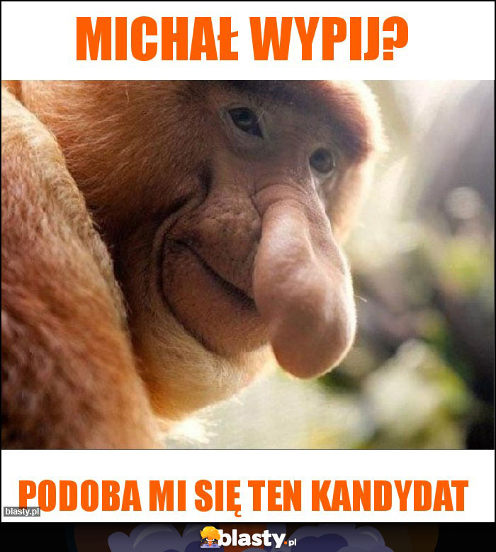 Michał Wypij?