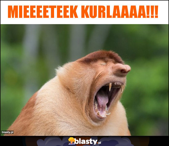 Mieeeeteek kurlaaaa!!!