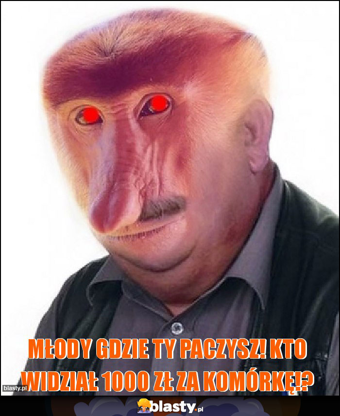 MŁODY GDZIE TY PACZYSZ! KTO WIDZIAŁ 1000 ZŁ ZA KOMÓRKĘ!?