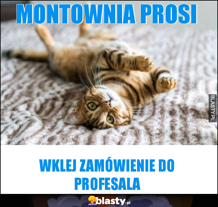 Montownia prosi