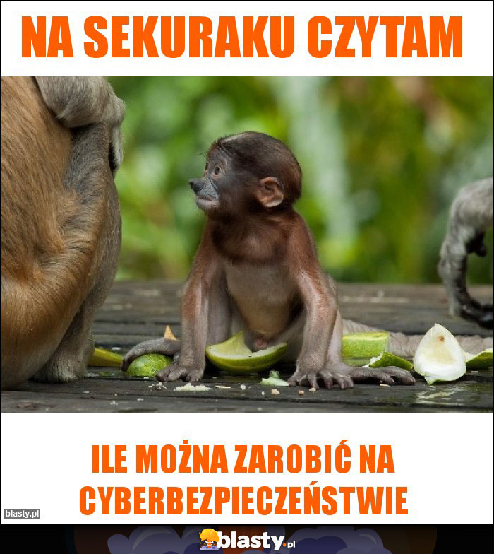 Na Sekuraku czytam