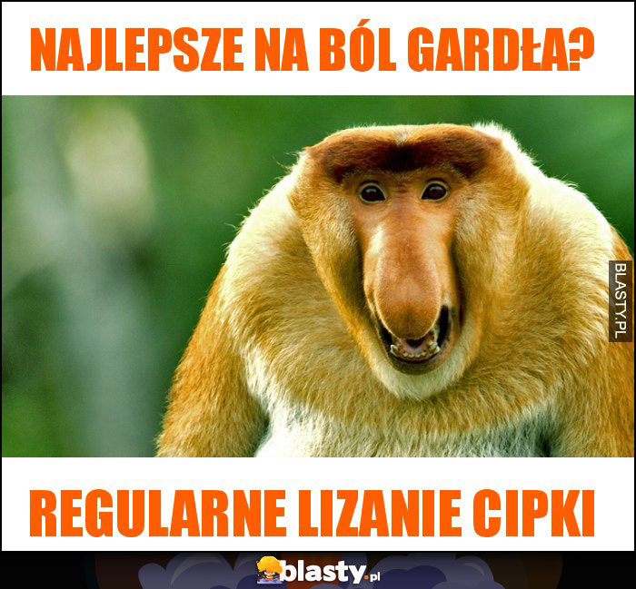 Najlepsze na ból gardła?